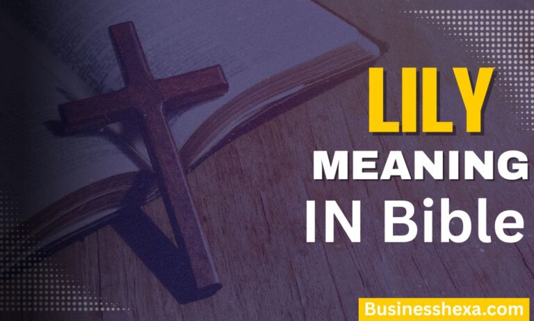 Lily Name Meaning in the Bible