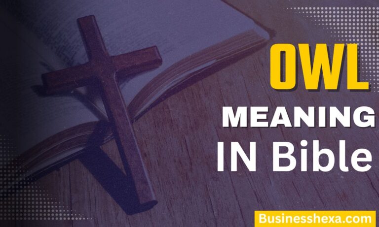 Owl Meaning in the Bible