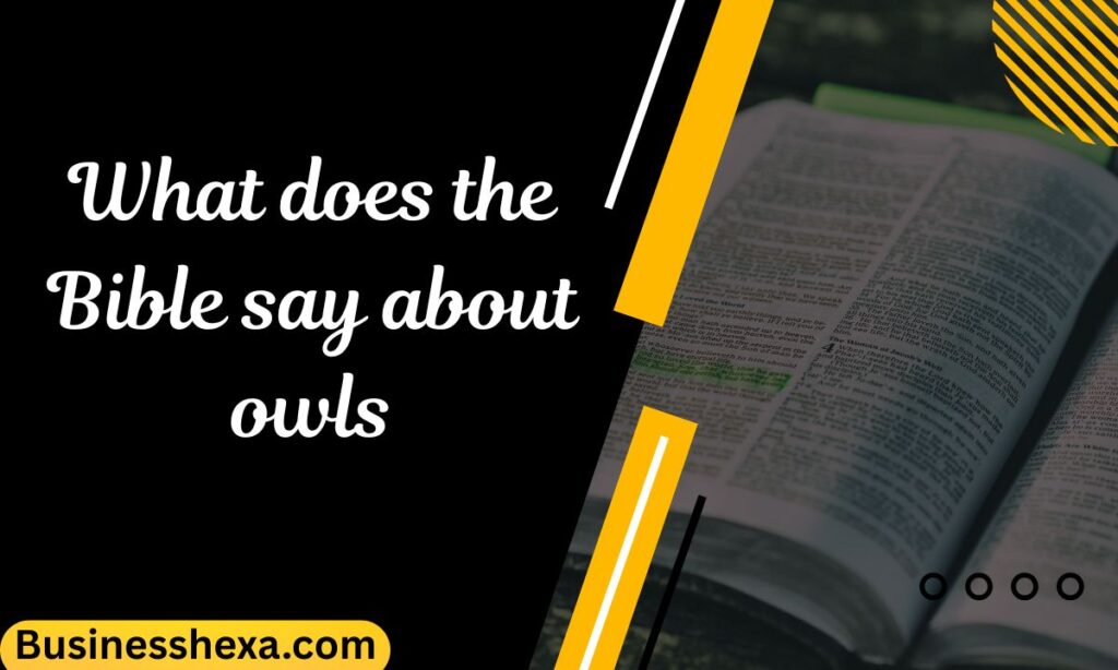 What does the Bible say about owls