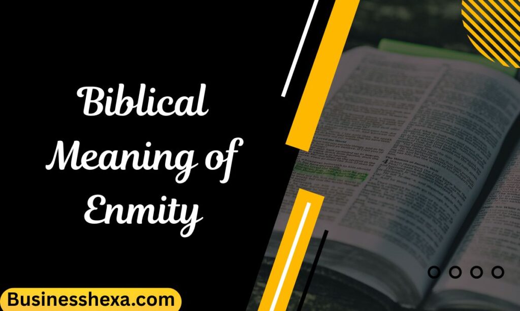 Biblical Meaning of Enmity