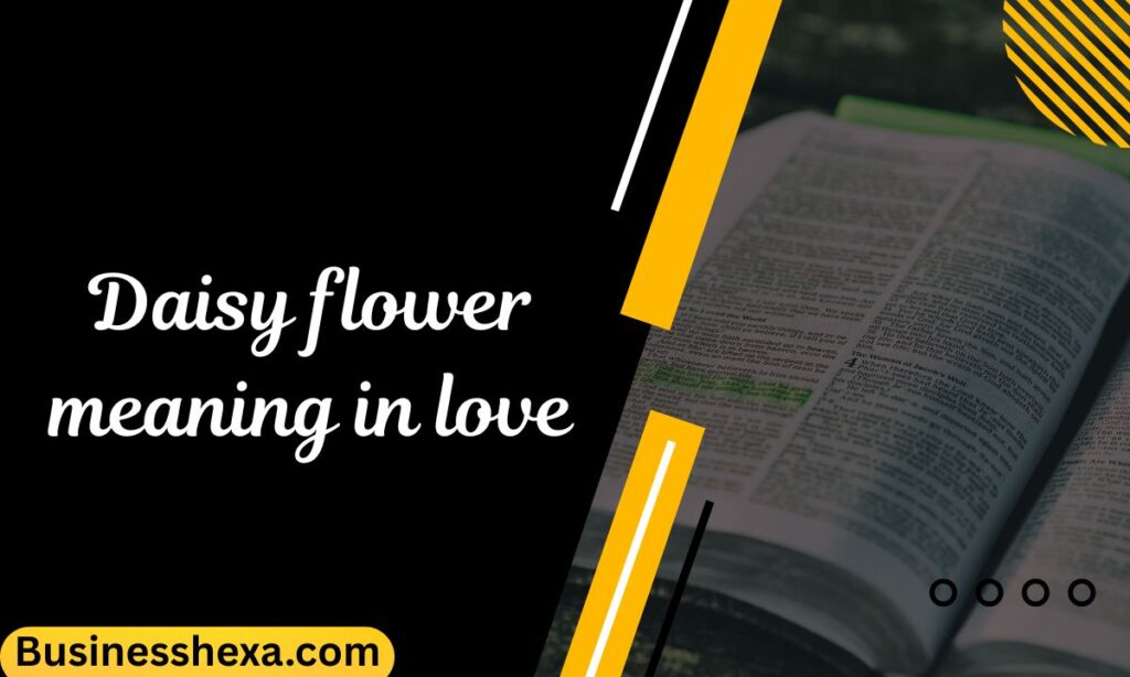 Daisy flower meaning in love