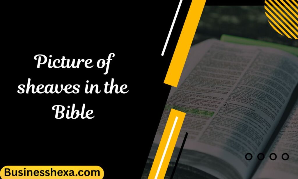 Picture of sheaves in the Bible