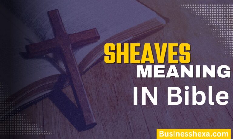 Sheaves in the Bible Meaning, Symbolism Harvest Gods Provision 2026