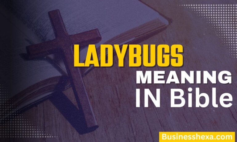 Ladybugs as a Sign from Angels Spiritual Meaning, Symbolism & Messages