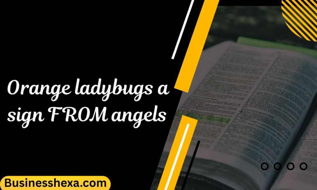 Orange ladybugs a sign FROM angels
